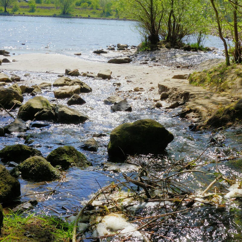 Regenwater Hoort Niet In Het Riool GroenLinks Renkum